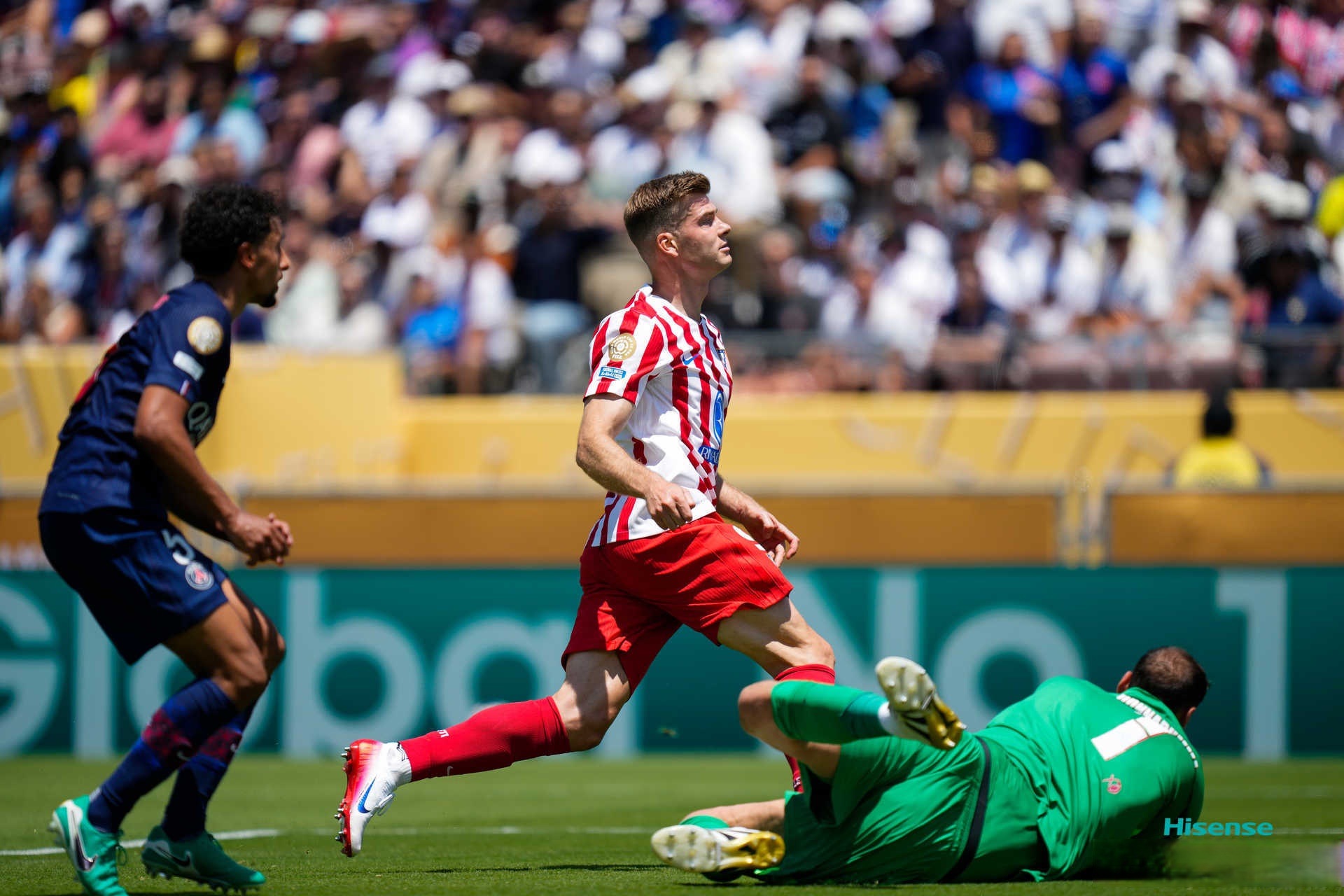 半岛体育官网登录-荒原狼为什么怕氪星人