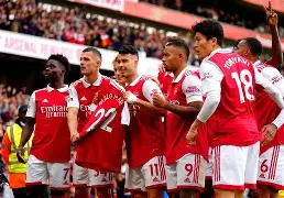 半岛体育在线-阿森纳不败赛季阵容图